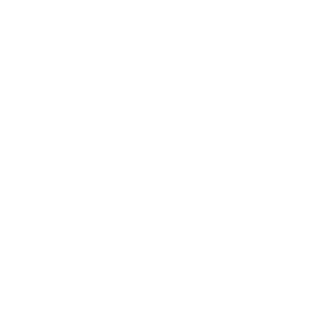 firstlite
